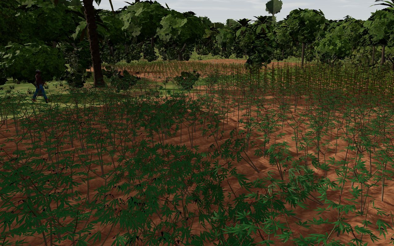 A cassava field whose leaves have closed over the rows, in Qimo Farm World.