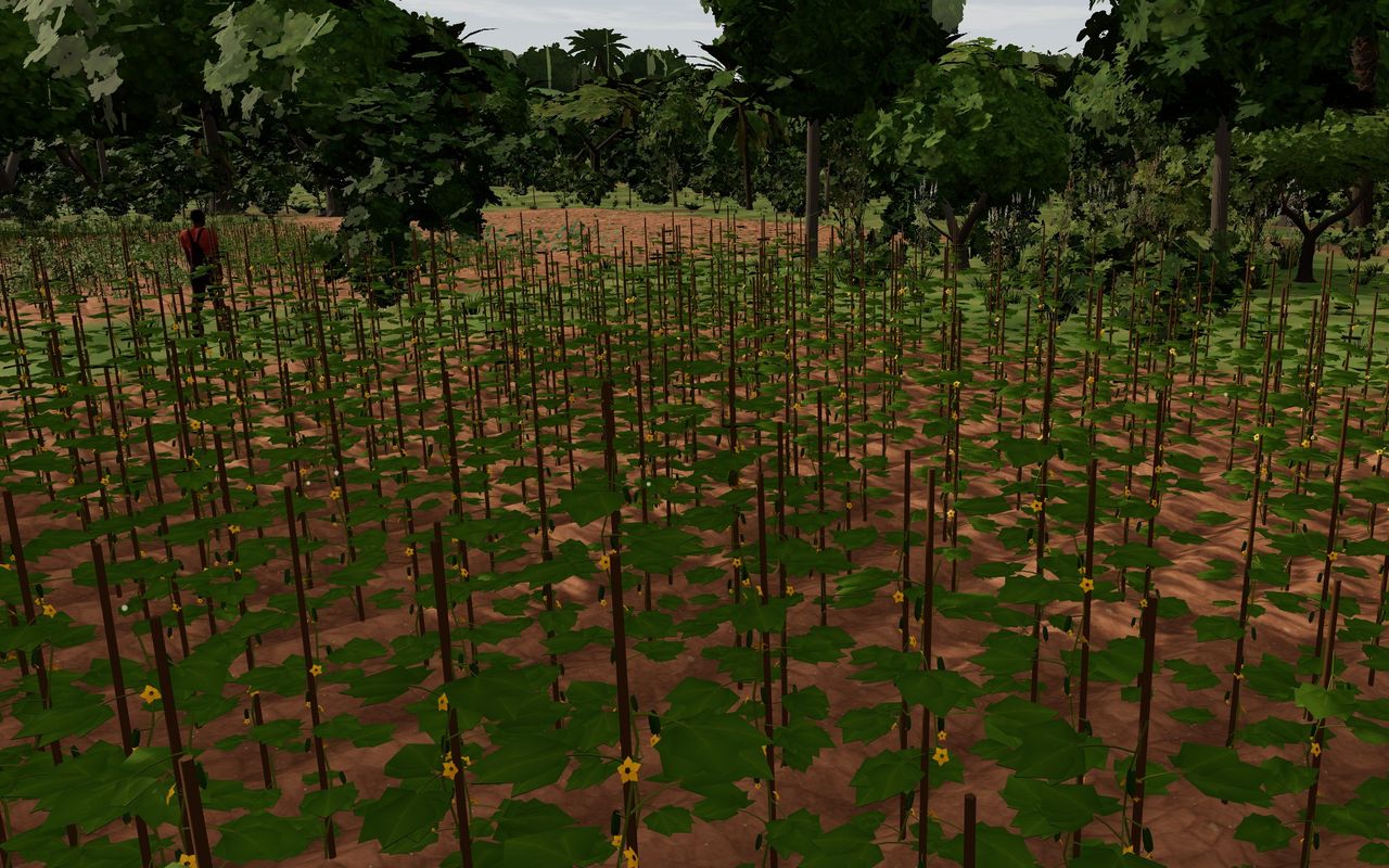 Cucumber vines in flower, each climbing its own stake, in Qimo Farm World.