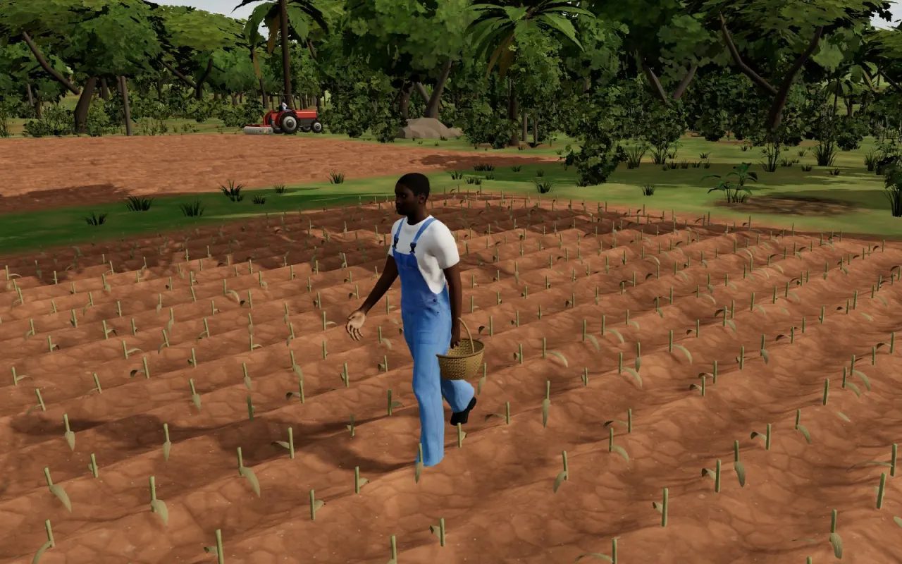 A worker in Qimo Farm World harvesting maize by hand into a basket.