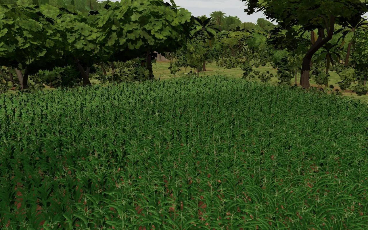 Tall maize in tassel, seen from low across the rows, in Qimo Farm World.